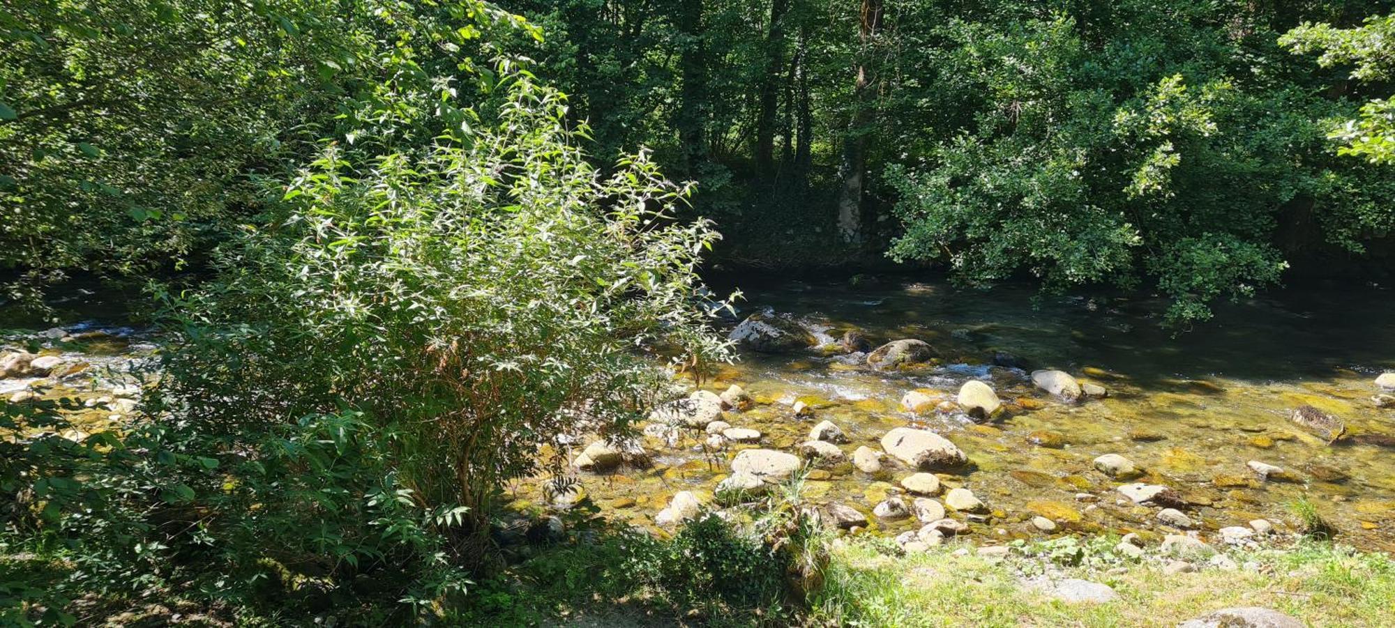 Ariege, Agreable T2 En Bord De Riviere Apartment Val-de-Sos Exterior photo